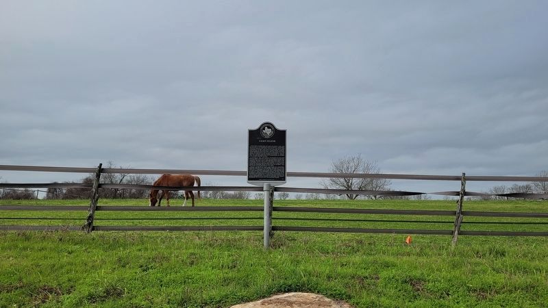 The Camp Felder Marker along the road image. Click for full size.