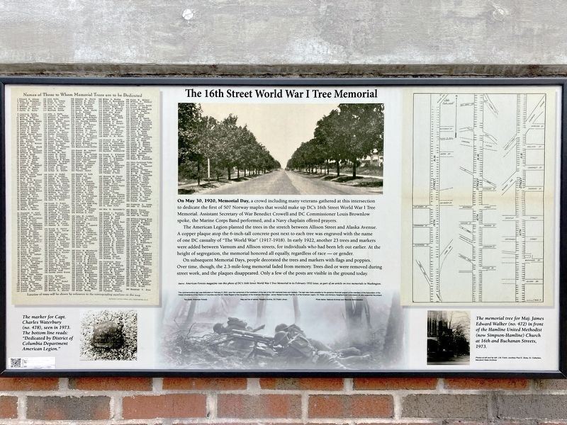 The 16th Street World War 1 Tree Memorial Marker. Click for full size. The 16th Street World War 1 Tree Memorial Marker image. Click for full size.