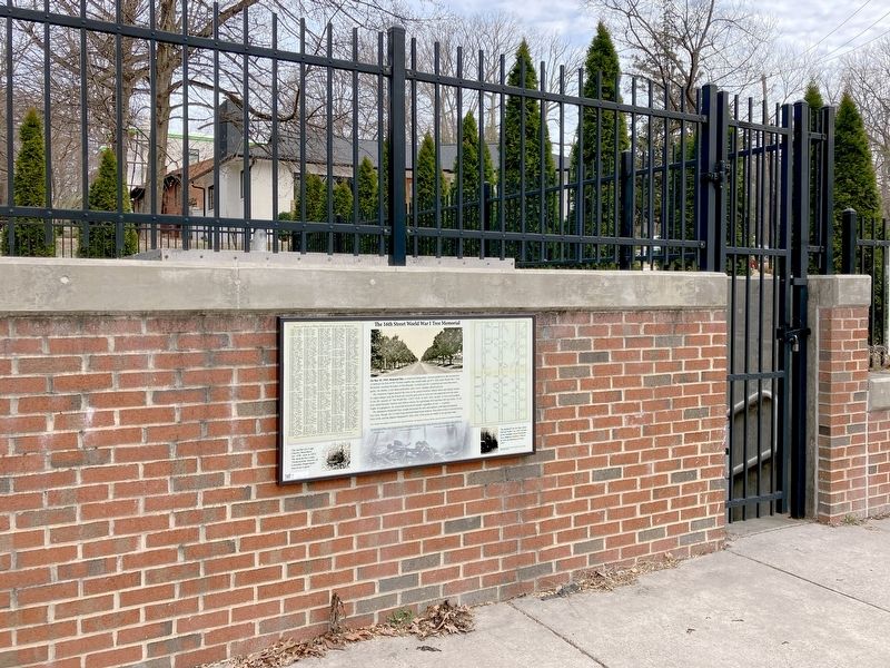 The 16th Street World War 1 Tree Memorial. Click for full size. The 16th Street World War 1 Tree Memorial image. Click for full size.