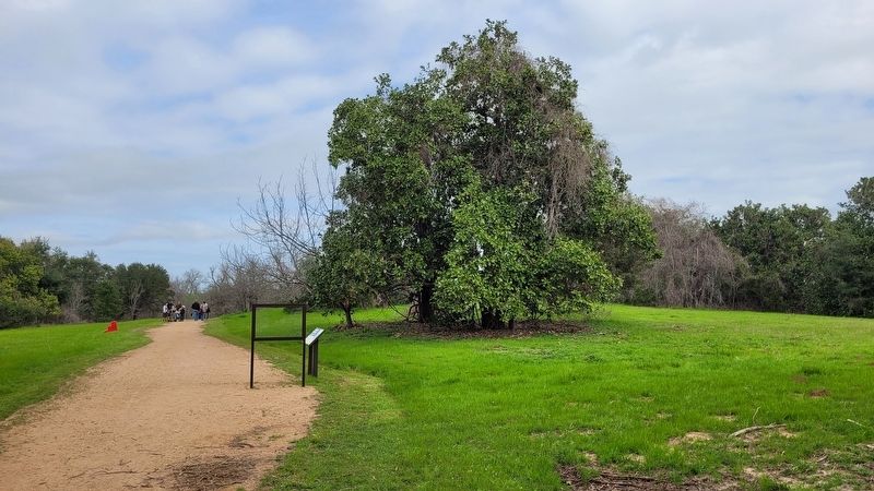 The view of the Washington's Boom Time Marker in the park image. Click for full size.