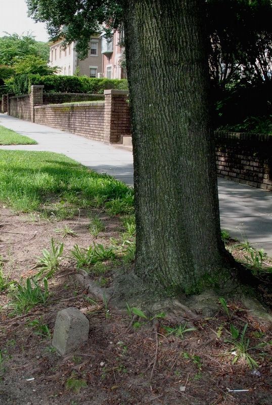 The remains of a WW I Memorial Tree Marker on 16th Street image. Click for full size.