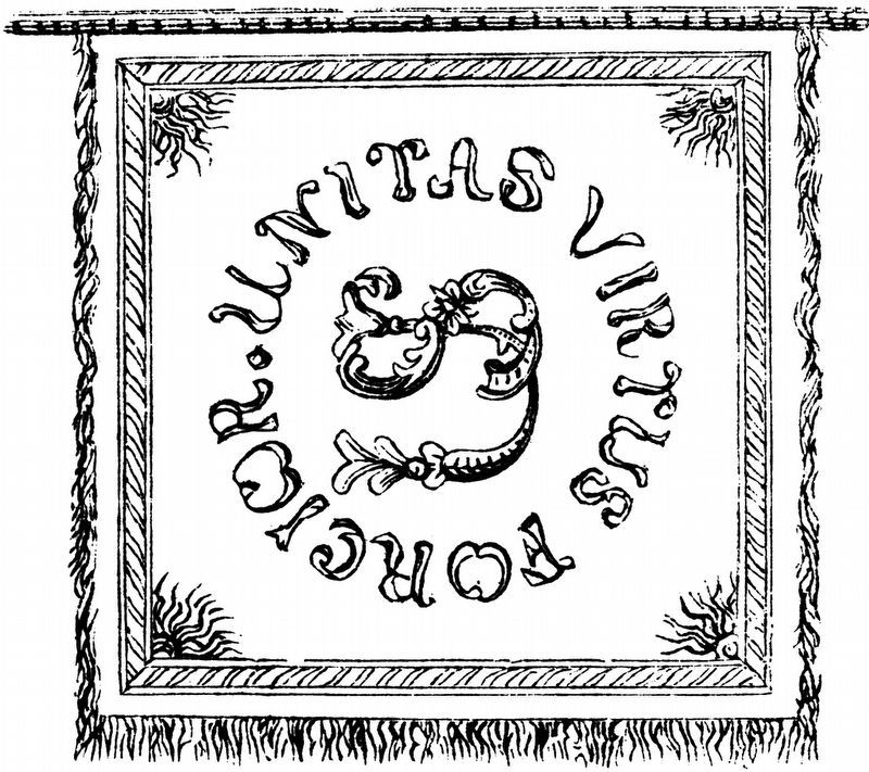 Pulaski's Banner. Click for full size. Pulaski's Banner image. Click for full size.