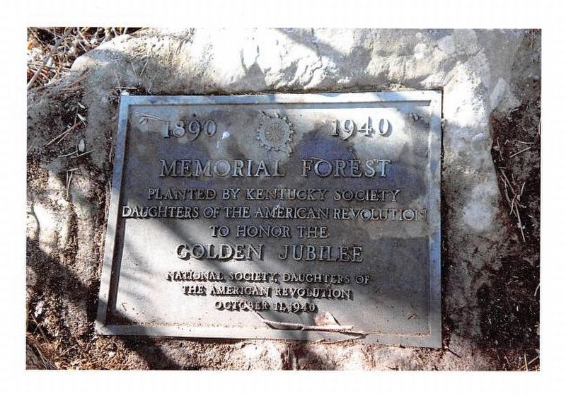 1940 DAR Penny Pines Forest Marker image. Click for full size.