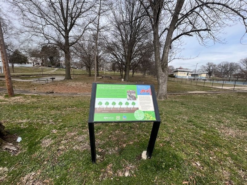 How this shady row of trees helps to keep our city waterways clean Marker. Click for full size. How this shady row of trees helps to keep our city waterways clean Marker image. Click for full size.