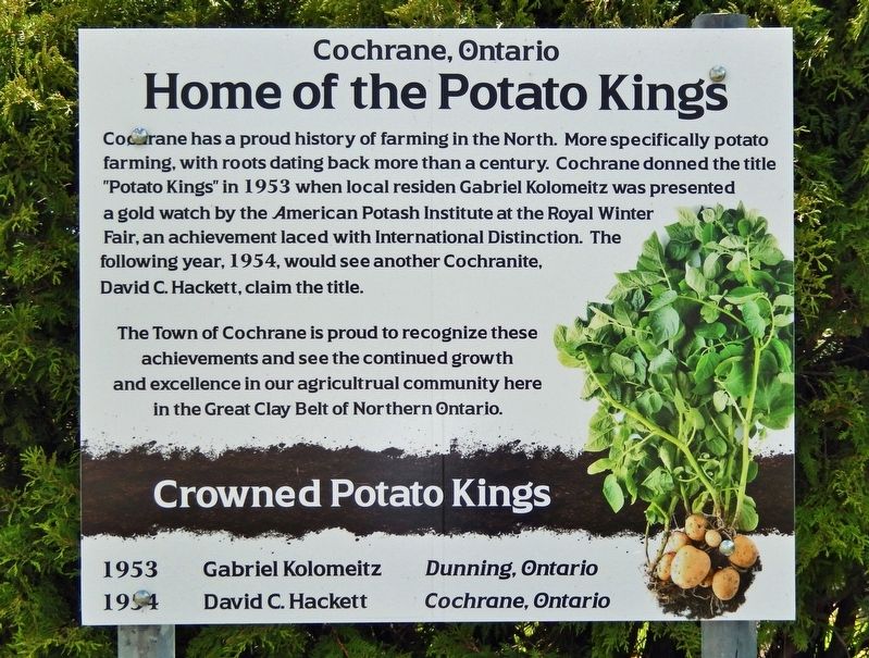 Home of the Potato Kings Marker. Click for full size. Home of the Potato Kings Marker image. Click for full size.