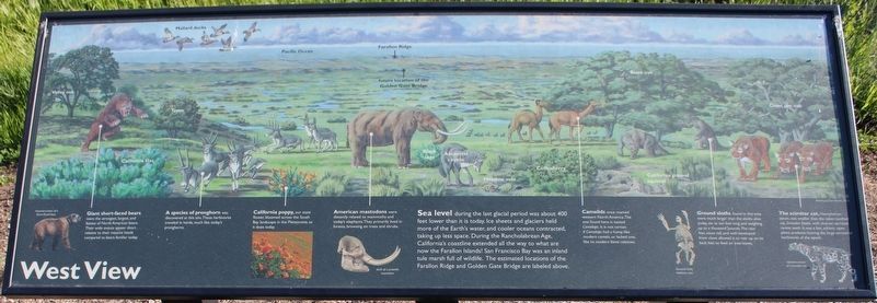 West View Marker. Click for full size. West View Marker image. Click for full size.
