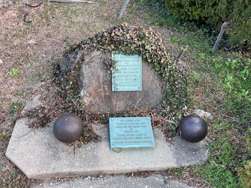 Site of a Tulip Tree Marker. Click for full size. Site of a Tulip Tree Marker image. Click for full size.