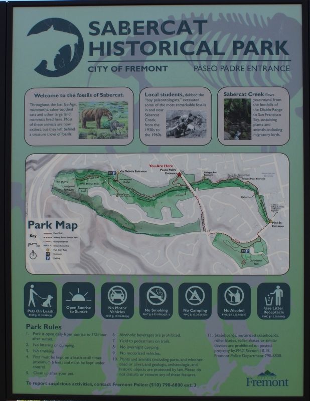 Sabercat Historical Park Marker image. Click for full size.