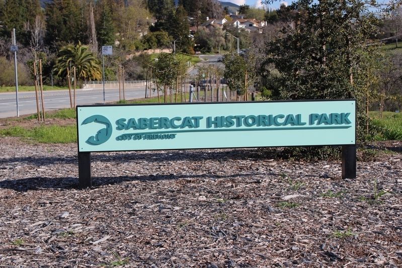 Sabercat Historical Park Sign image. Click for full size.