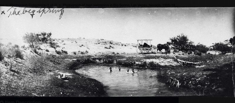 Las Vegas Springs - circa 1900 image. Click for full size.