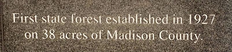First state forest Marker image. Click for full size.