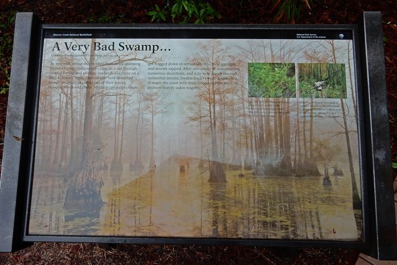 A Very Bad Swamp ... Marker. Click for full size. A Very Bad Swamp ... Marker image. Click for full size.