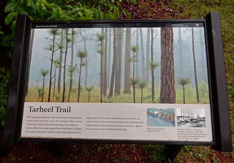 Tarheel Trail Marker image. Click for full size.