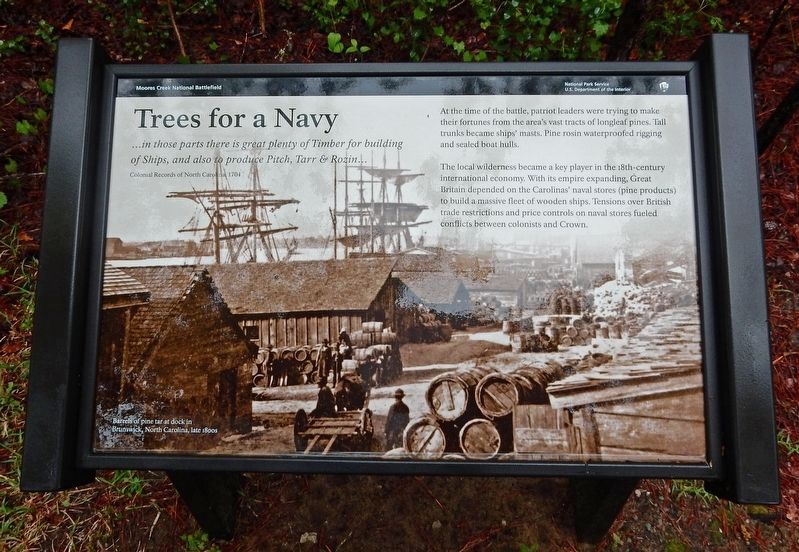 Trees for a Navy Marker image. Click for full size.
