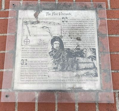 The First Vineyards Marker. Click for full size. The First Vineyards Marker image. Click for full size.