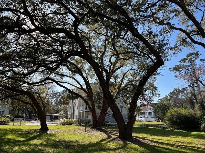 Ark Plantation Marker. Click for full size. Ark Plantation Marker image. Click for full size.
