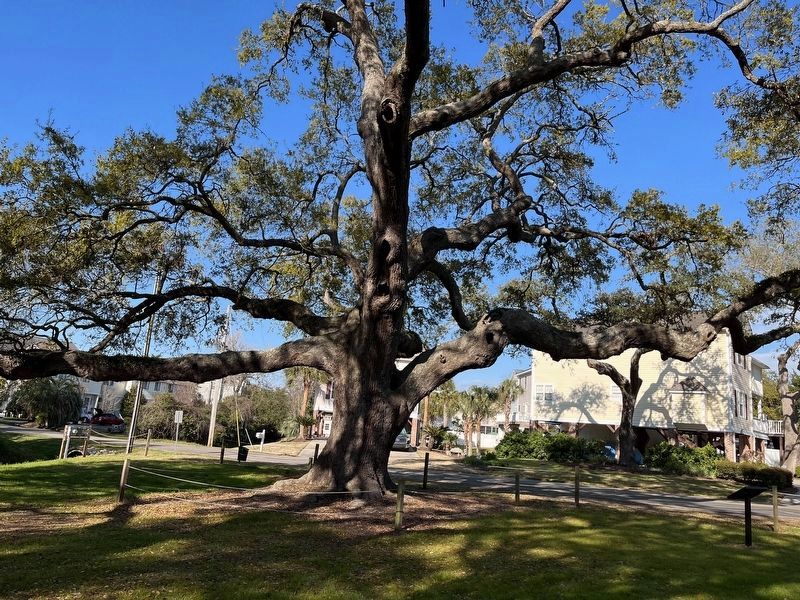 Ark Plantation Marker. Click for full size. Ark Plantation Marker image. Click for full size.