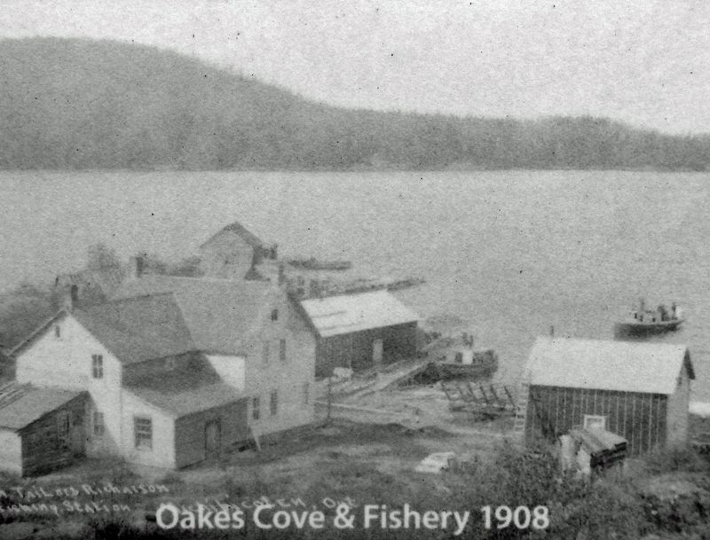 Marker detail: Oakes Cove & Fishery 1908 image. Click for full size.