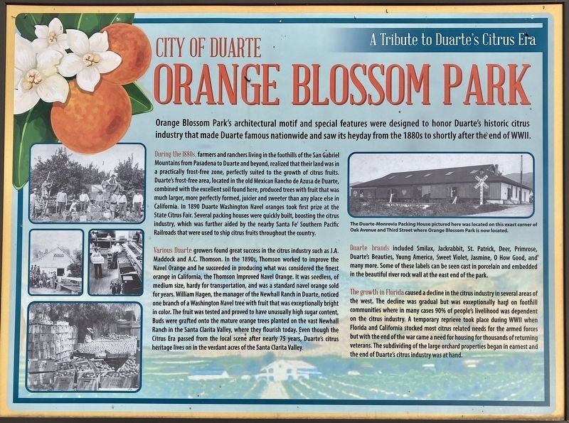 Orange Blossom Park Marker image. Click for full size.