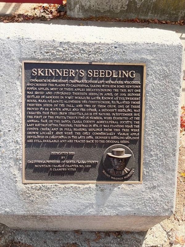 Skinner's Seedling Marker image. Click for full size.