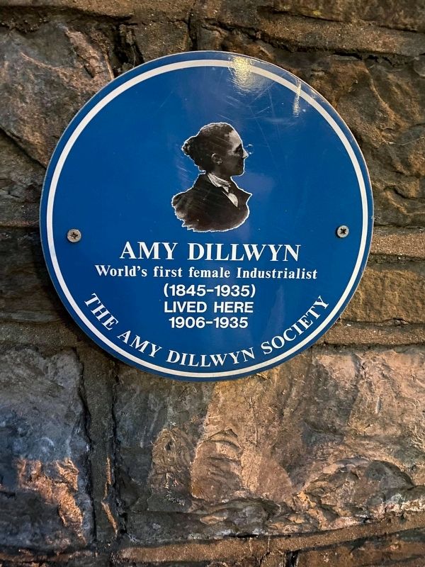 Amy Dillwyn Marker image. Click for full size.