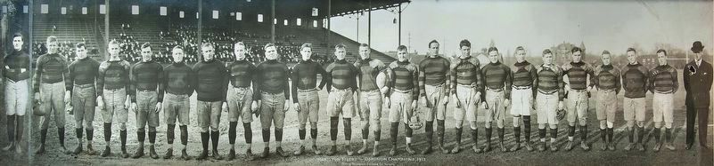 The Hamilton Tigers Football Club, Dominion (Grey Cup) Champions 1913 image. Click for full size.