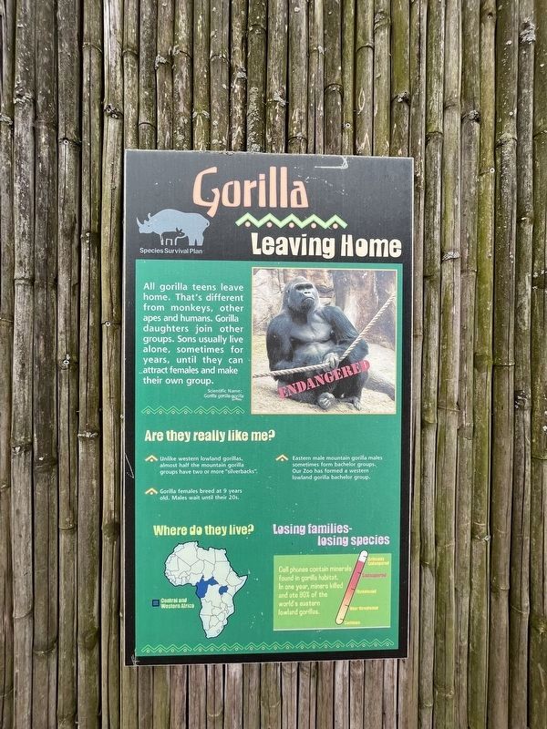 Gorilla Marker image. Click for full size.