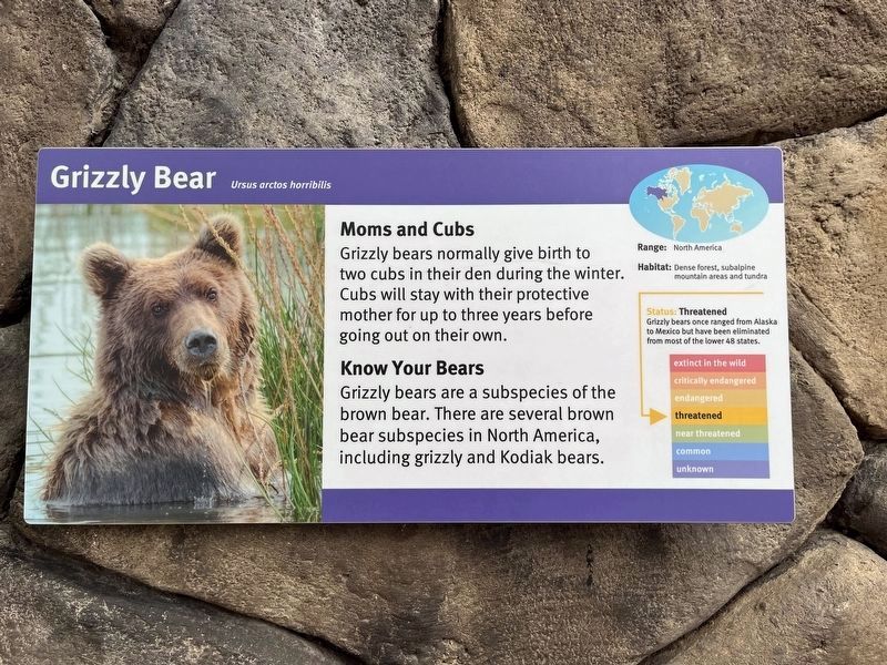 Grizzly Bear Marker image. Click for full size.