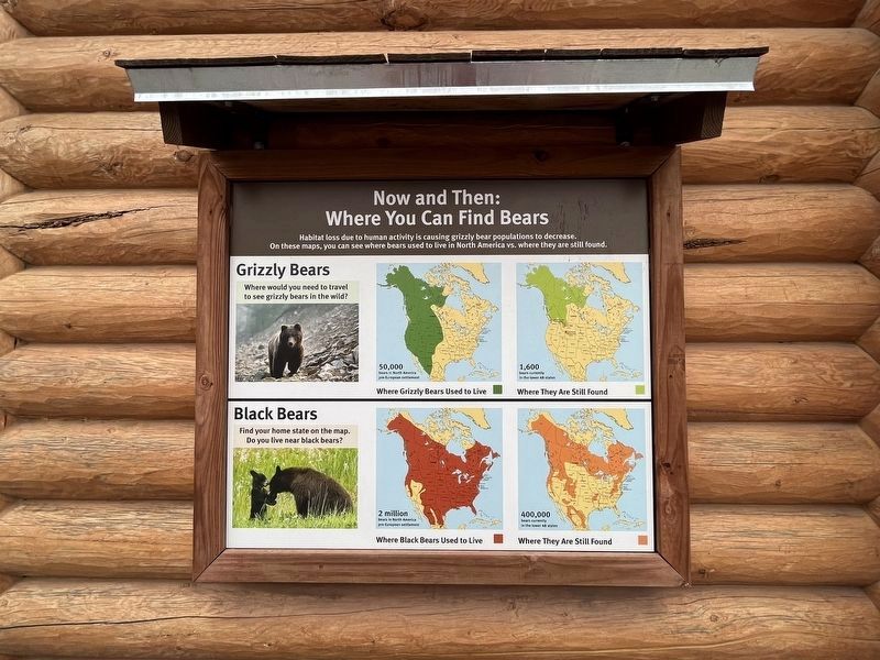 Now and Then: Where You Can Find Bears Marker image. Click for full size.