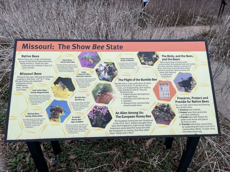 Missouri: The Show <i>Bee</i> State Marker image. Click for full size.
