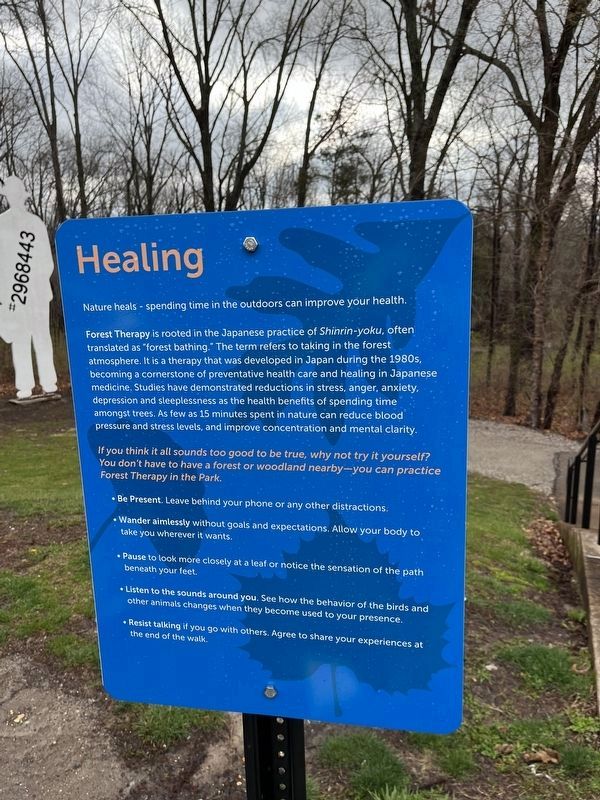 Healing Marker image. Click for full size.