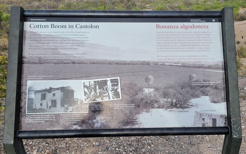 Cotton Boom in Castolon Marker image. Click for full size.
