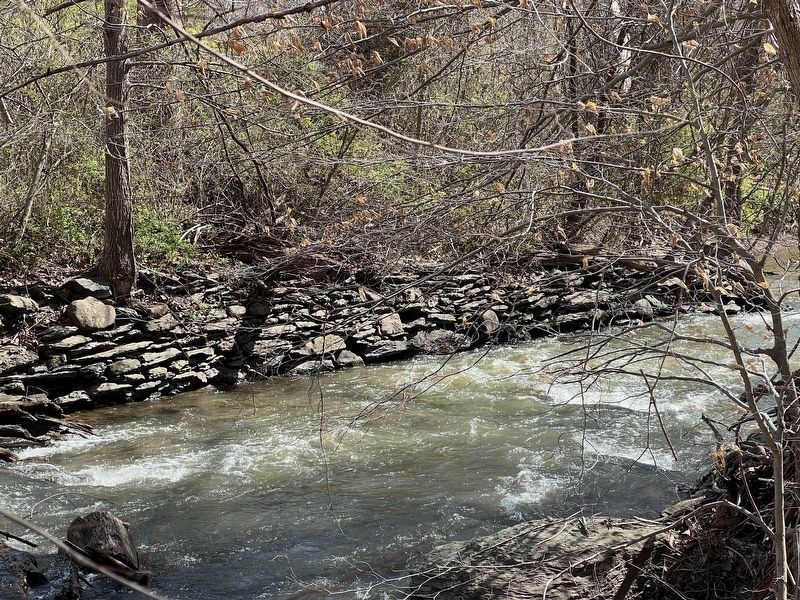 A portion of the wall of the Seneca Bypass image. Click for full size.