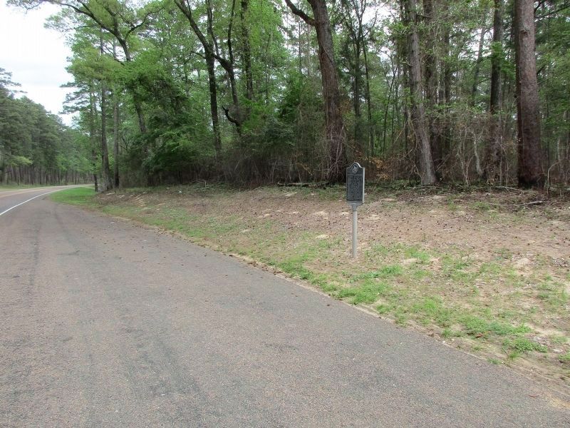 Pine Springs Campground Marker. Click for full size. Pine Springs Campground Marker image. Click for full size.