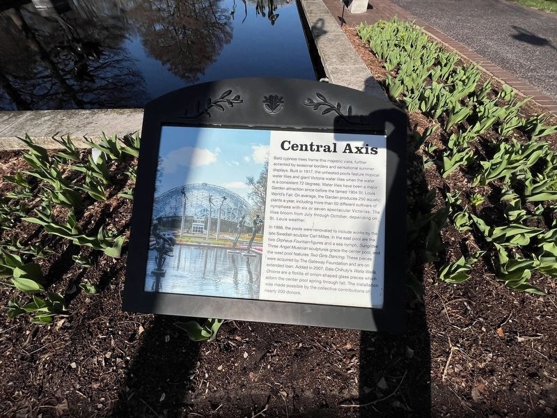 Central Axis Marker. Click for full size. Central Axis Marker image. Click for full size.