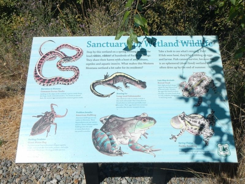 Sanctuary for Wetland Wildlife Marker. Click for full size. Sanctuary for Wetland Wildlife Marker image. Click for full size.