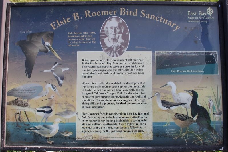 Elsie B. Roemer Bird Sanctuary Marker image. Click for full size.