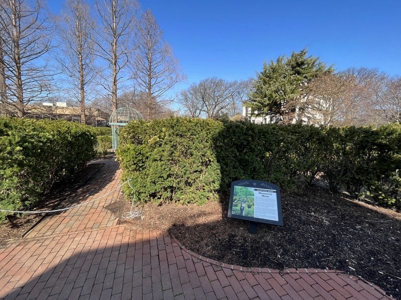 The entrance to the hedge maze image. Click for full size.