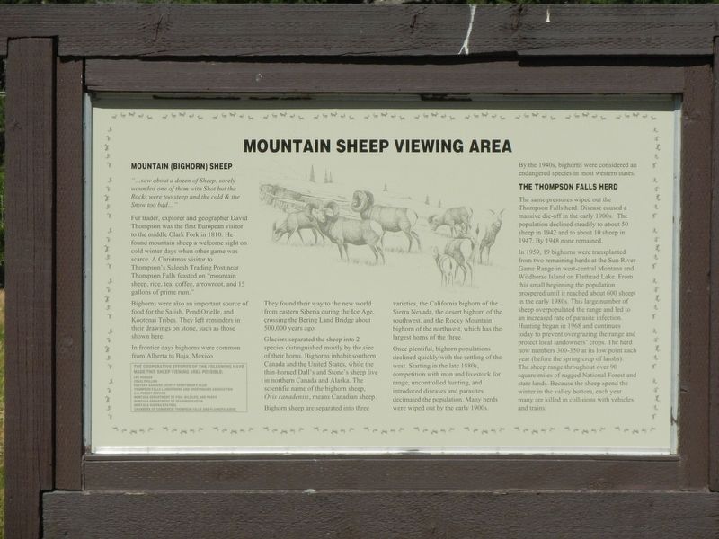 Mountain (Bighorn) Sheep Marker image. Click for full size.