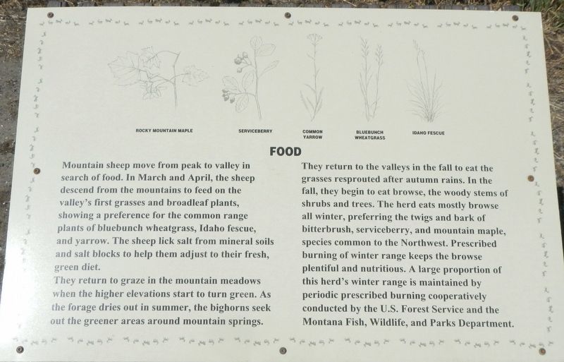 Food image. Click for full size.