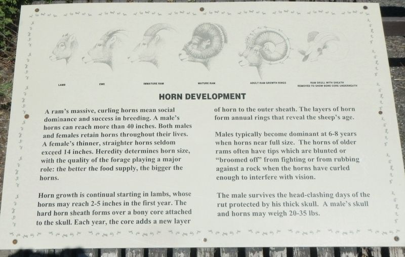Horn Development image. Click for full size.
