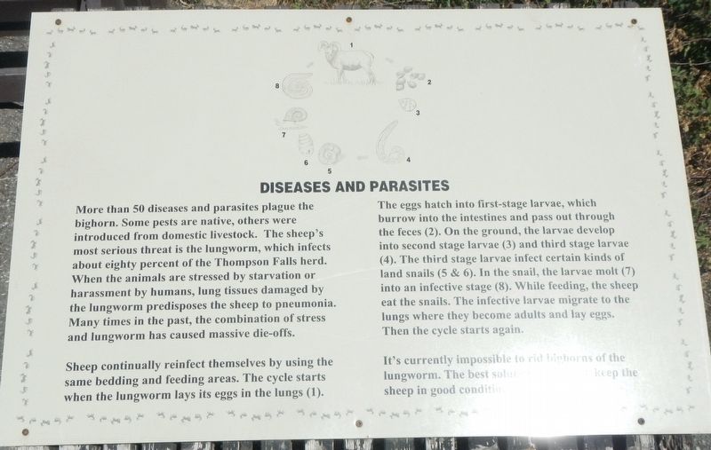 Diseases and Parasites image. Click for full size.