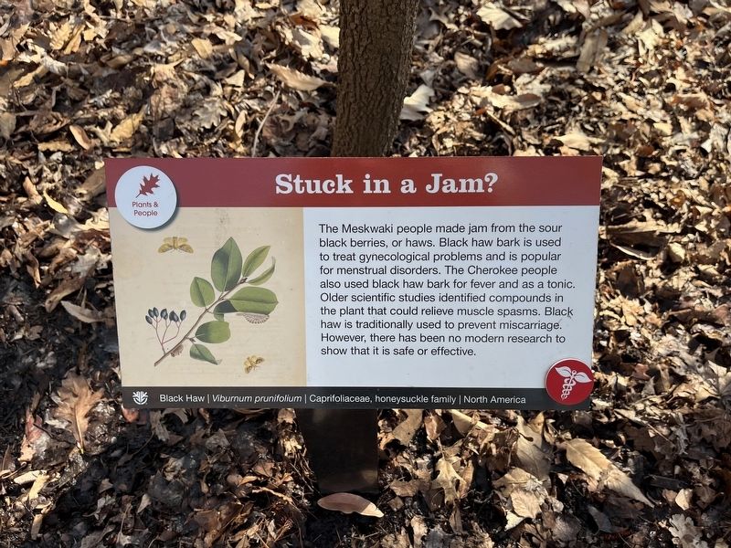 Stuck in a Jam? Marker image. Click for full size.