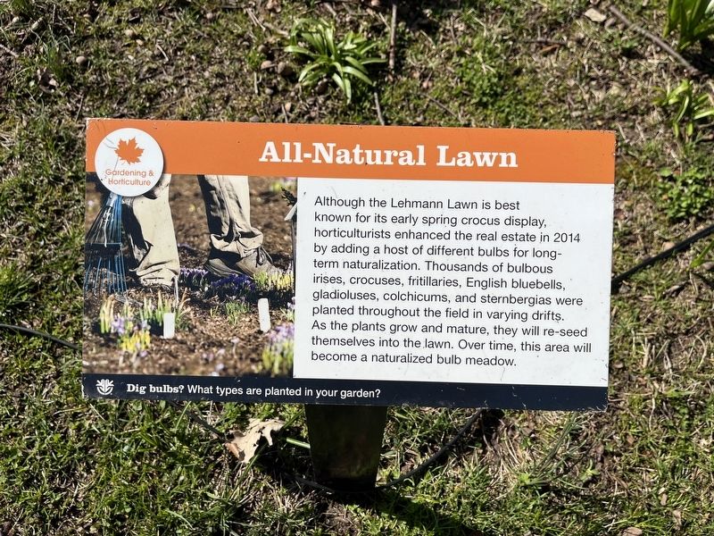 All-Natural Lawn Marker image. Click for full size.