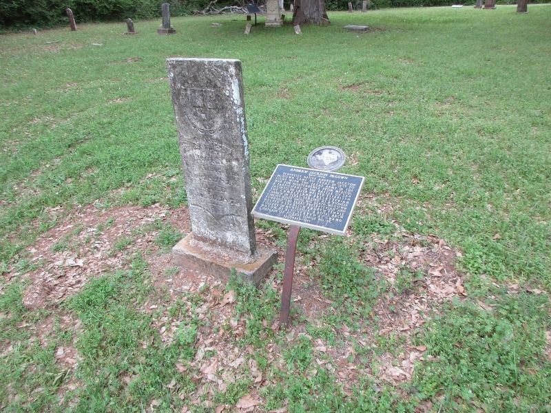 Andrew Jackson McGown Marker image. Click for full size.