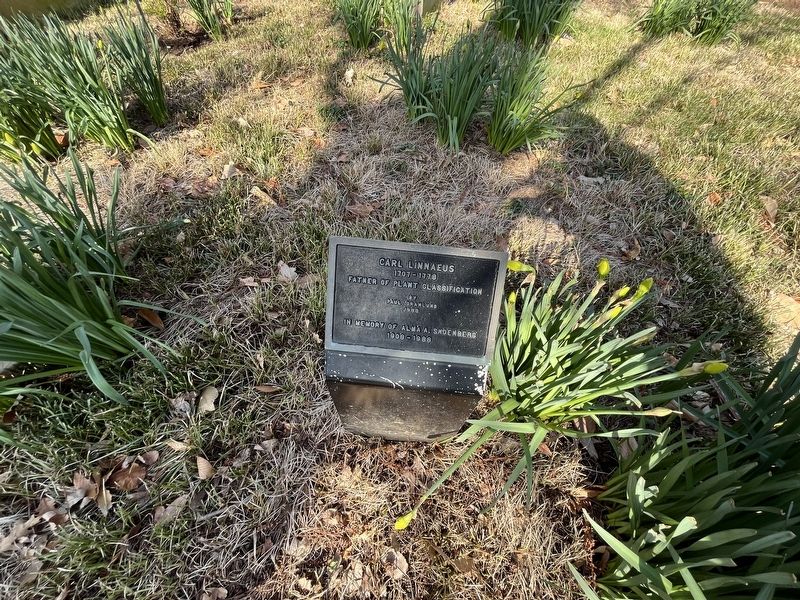 Carl Linnaeus Marker image. Click for full size.