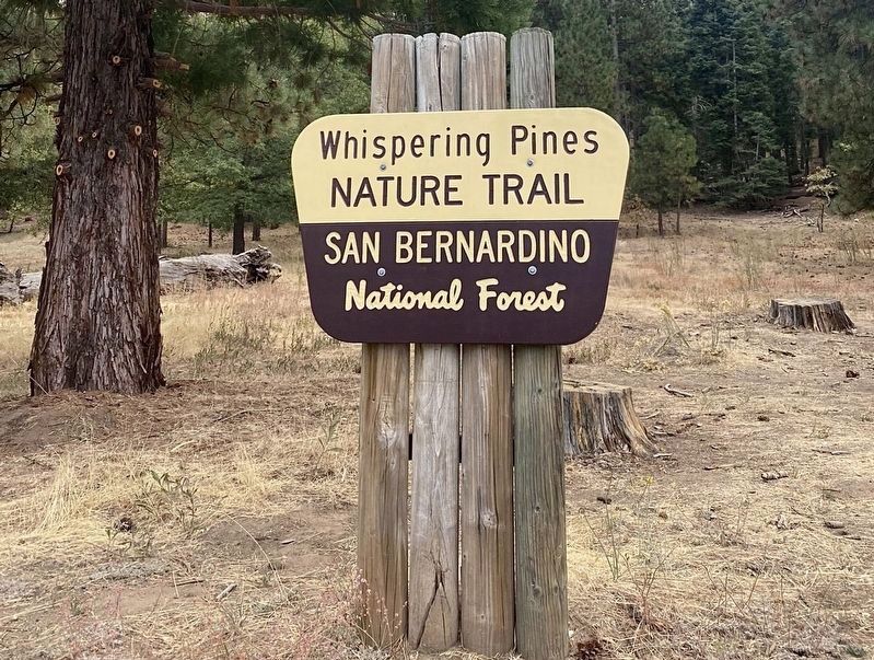 Whispering Pines Nature Trail Sign image. Click for full size.