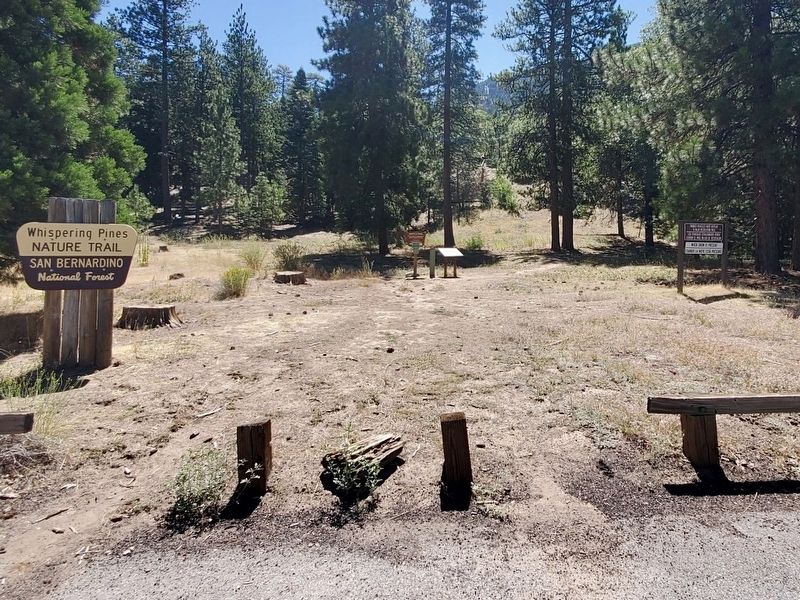 Whispering Pines Trail Marker image. Click for full size.