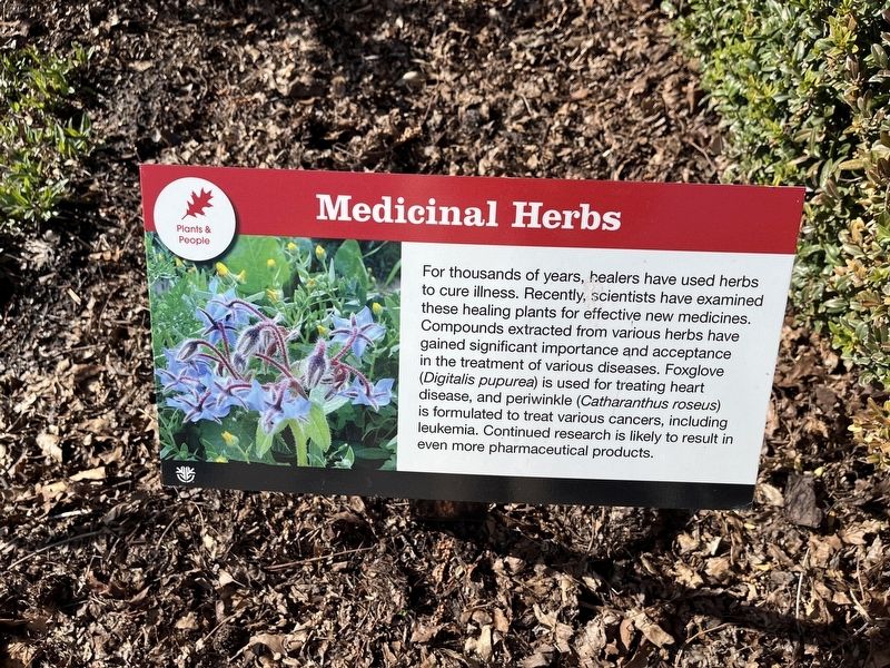 Medicinal Herbs Marker. Click for full size. Medicinal Herbs Marker image. Click for full size.