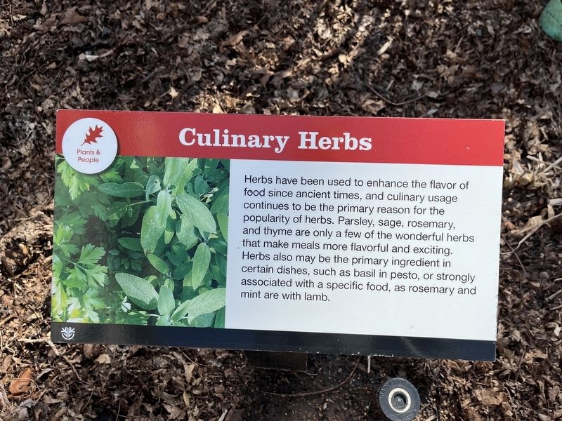 Culinary Herbs Marker image. Click for full size.